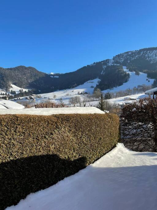 Charmant Studio + Jardin Vue Pistes Et Local Velo Praz-sur-Arly Extérieur photo