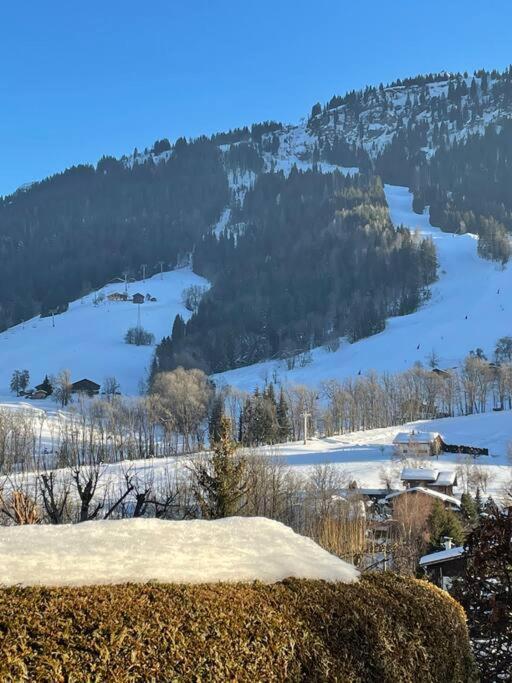 Charmant Studio + Jardin Vue Pistes Et Local Velo Praz-sur-Arly Extérieur photo